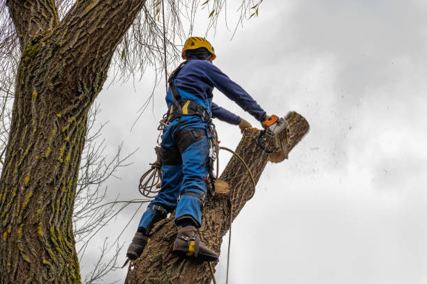 Mulching Services in Gerber, CA