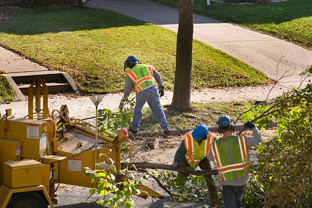 Best Storm Damage Tree Cleanup  in Gerber, CA